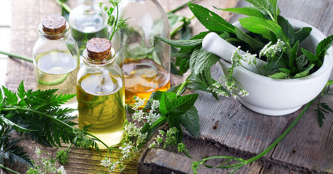 Herbalism